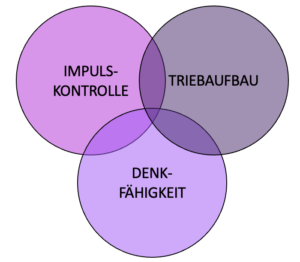 Grafik Impulskontrolle, Triebaufbau, Denkfähigkeit