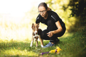 Border Collie puppy impulse control drive balance